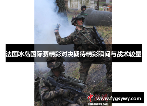 法国冰岛国际赛精彩对决期待精彩瞬间与战术较量